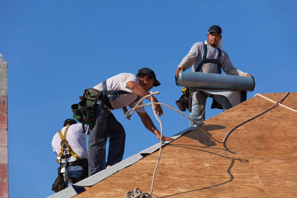 Best Gutter Installation and Roofing  in Findlay, OH
