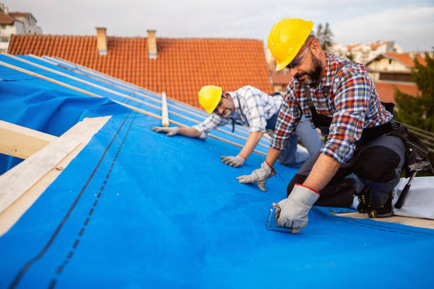 Best Emergency Roof Repair  in Findlay, OH