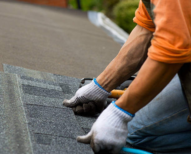 Best Storm Damage Roof Repair  in Findlay, OH